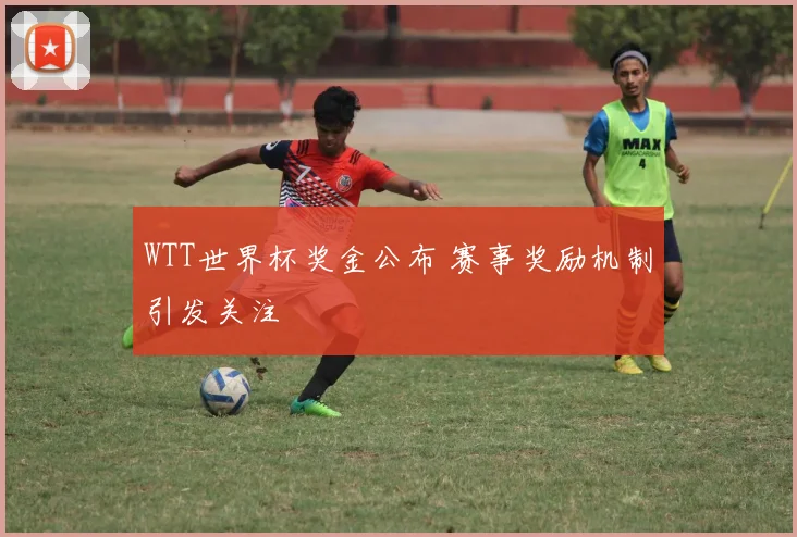 WTT世界杯奖金公布 赛事奖励机制引发关注