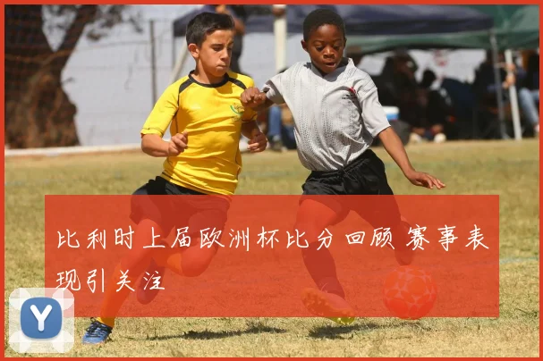 比利时上届欧洲杯比分回顾 赛事表现引关注
