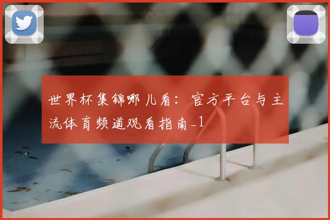 世界杯集锦哪儿看：官方平台与主流体育频道观看指南_1