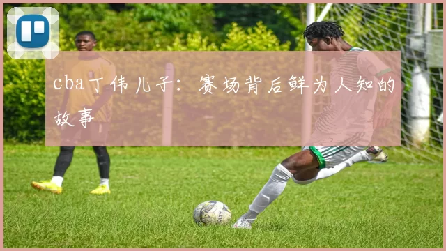 cba丁伟儿子：赛场背后鲜为人知的故事