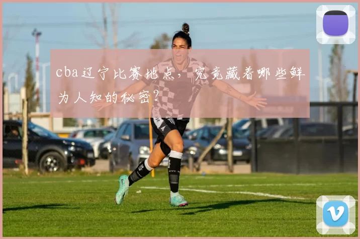 cba辽宁比赛地点，究竟藏着哪些鲜为人知的秘密？